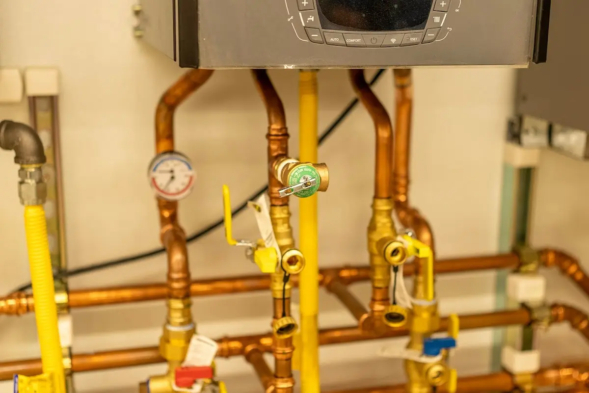 Licensed technician providing Sump Pump Repair for a homeowner in Williams